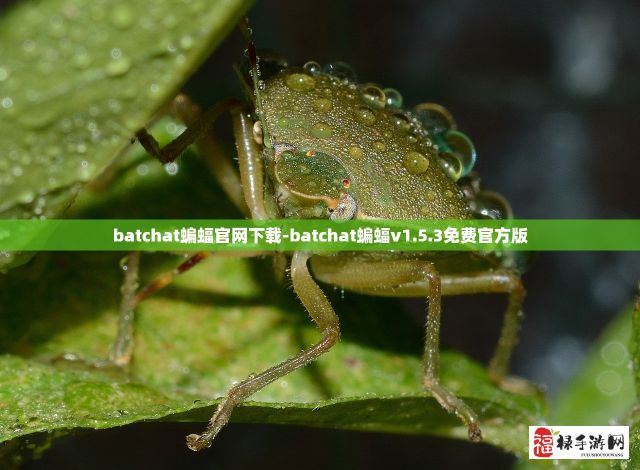 batchat蝙蝠官网下载-batchat蝙蝠v1.5.3免费官方版